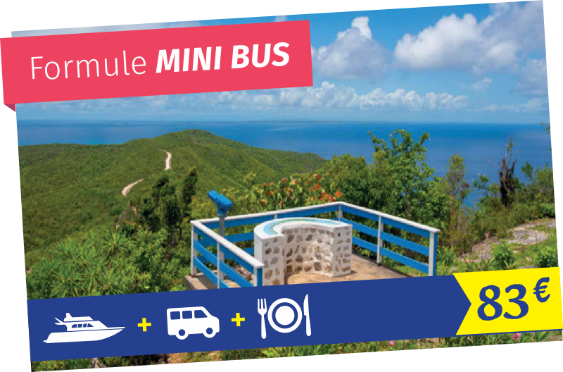 Visitez la Désirade en minibus. Formule découverte Mini-BUS