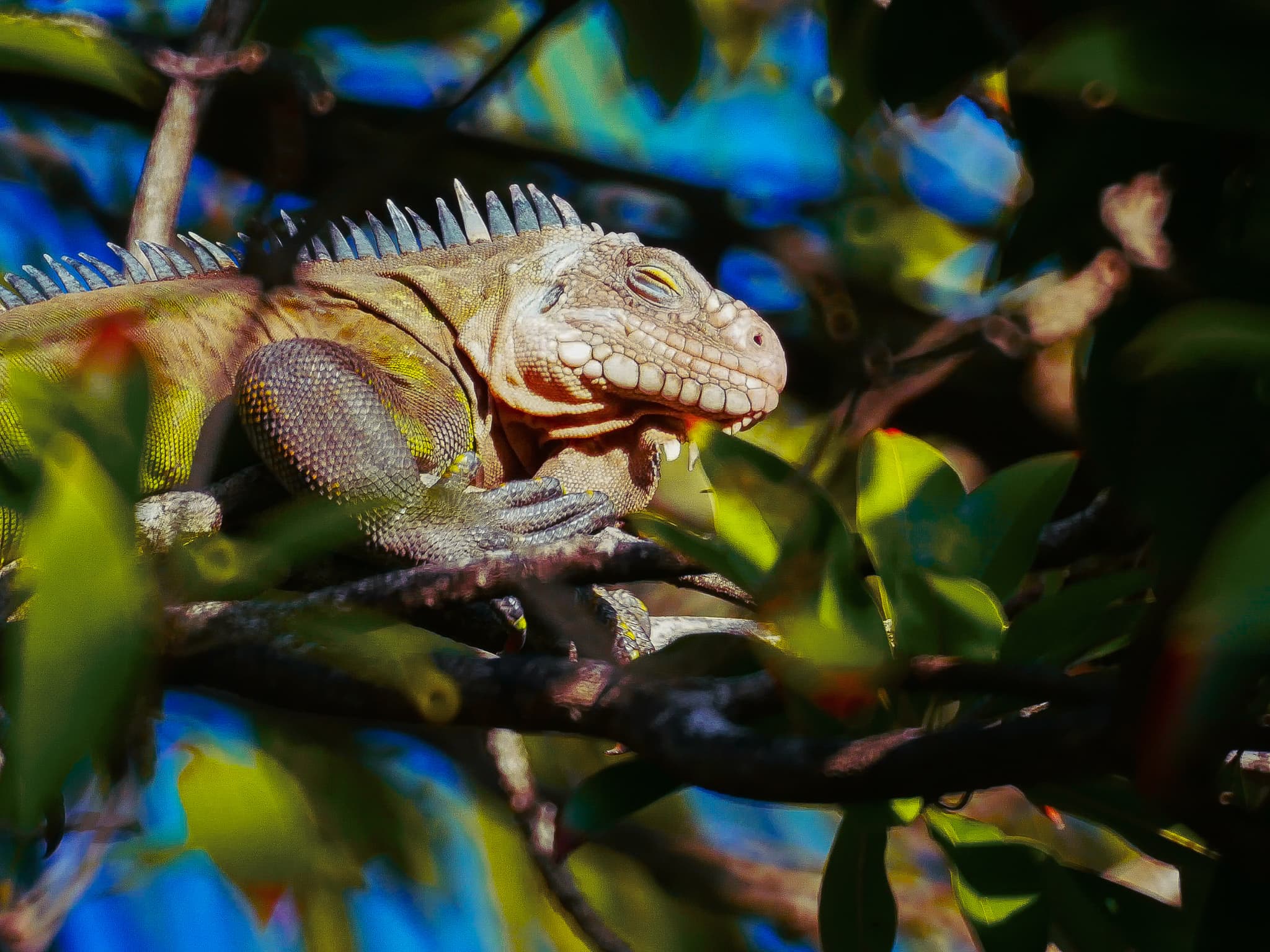 LRM_EXPORT_20180513_002256