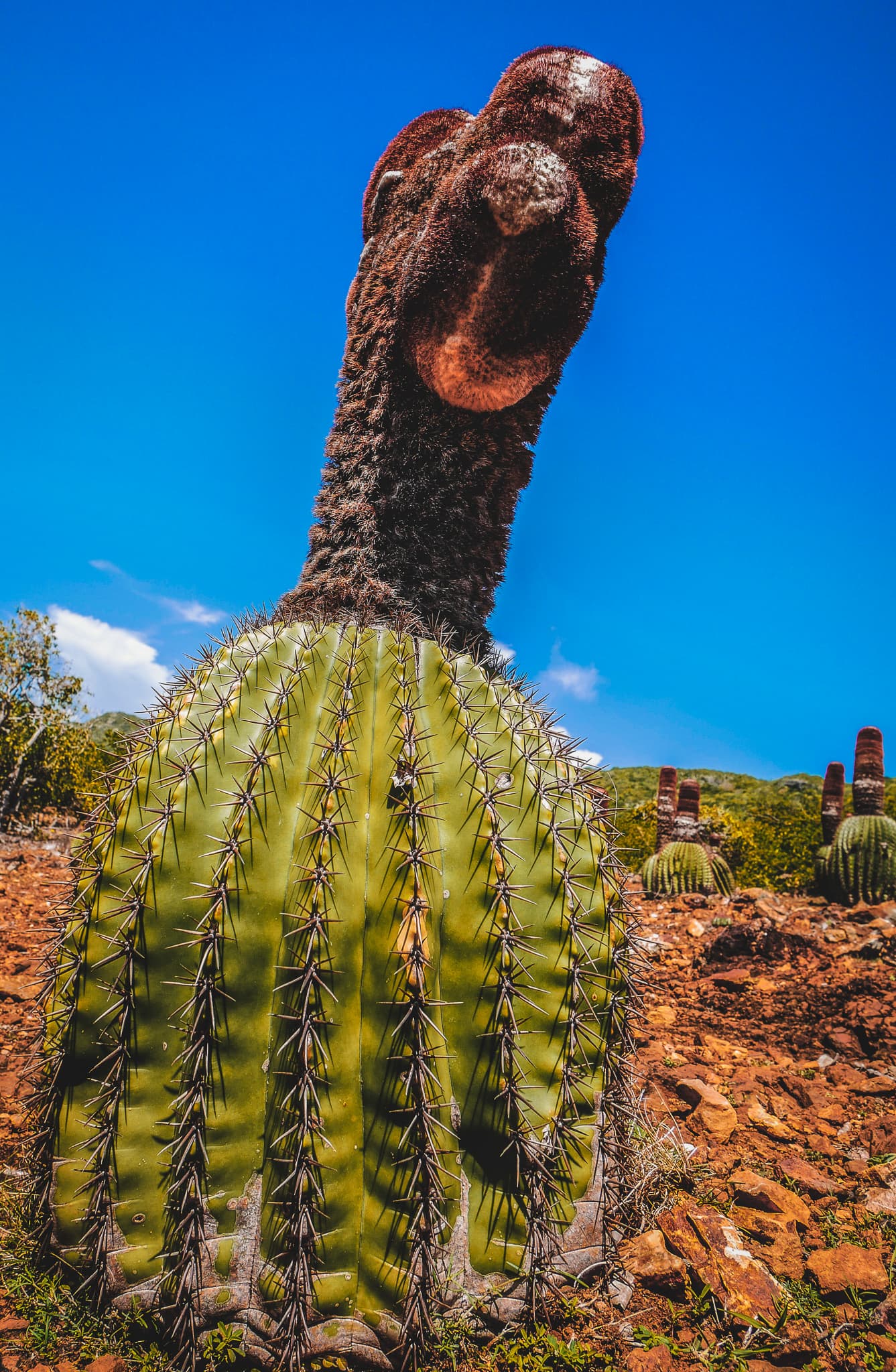 LRM_EXPORT_20180819_214726