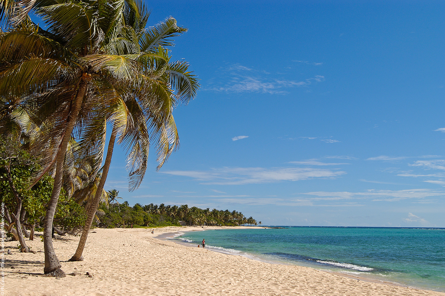 MG_PLAGE plage Marie-Galante