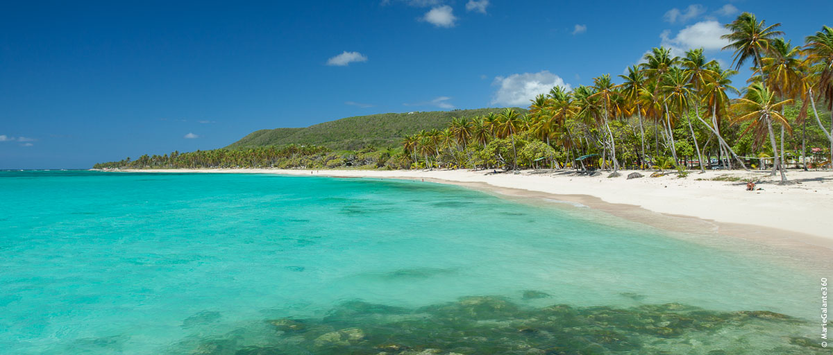 mariegalante_plage_lafeuillere-6_01 plage marie galante