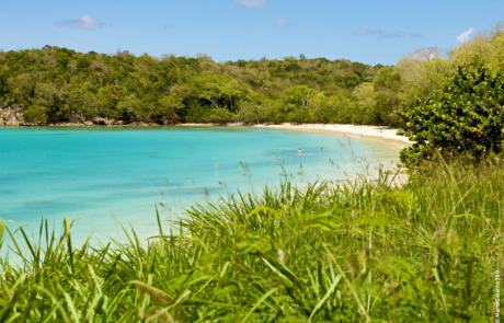 mariegalante_plage_moustique plage feuillère